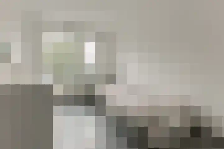 Landmeter 19 Assendelft thumbnail 16