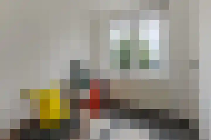 Landmeter 19 Assendelft thumbnail 18