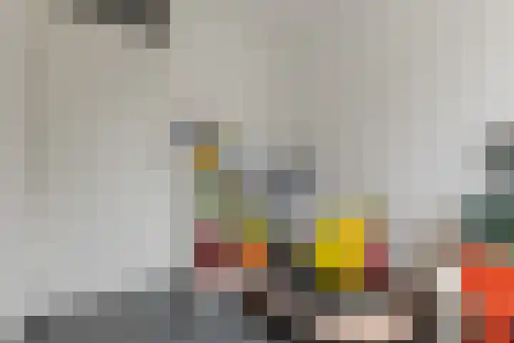 Landmeter 19 Assendelft thumbnail 19