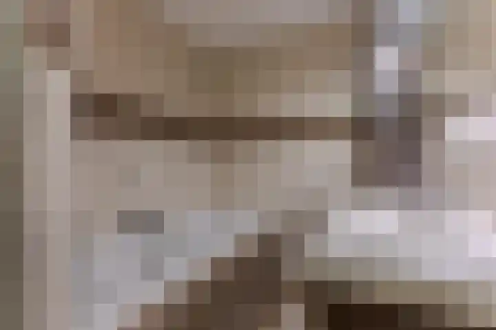 Landmeter 19 Assendelft thumbnail 20