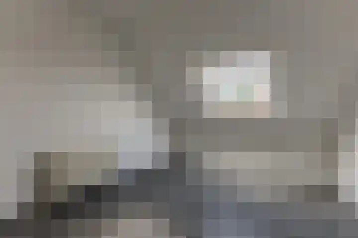 Landmeter 19 Assendelft thumbnail 28