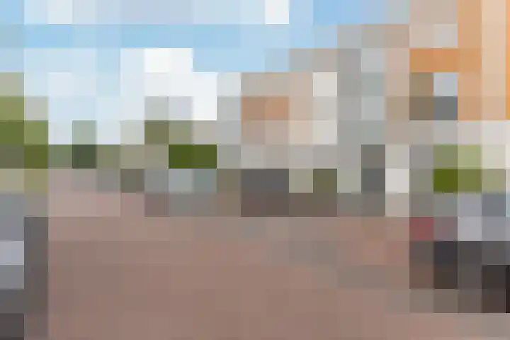 Landmeter 19 Assendelft thumbnail 29