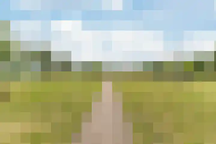 Landmeter 19 Assendelft thumbnail 32