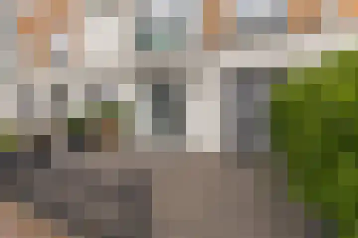 Landmeter 19 Assendelft thumbnail 37