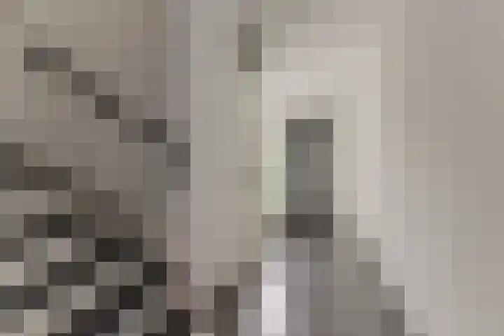 Landmeter 19 Assendelft thumbnail 4