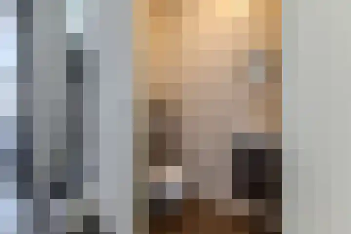 Landmeter 19 Assendelft thumbnail 5