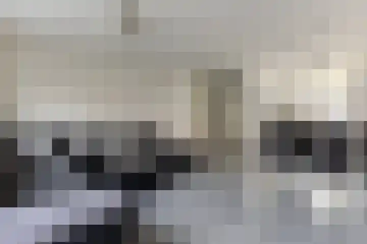 Landmeter 19 Assendelft thumbnail 6