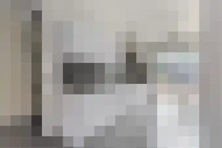 Landmeter 19 Assendelft thumbnail 8