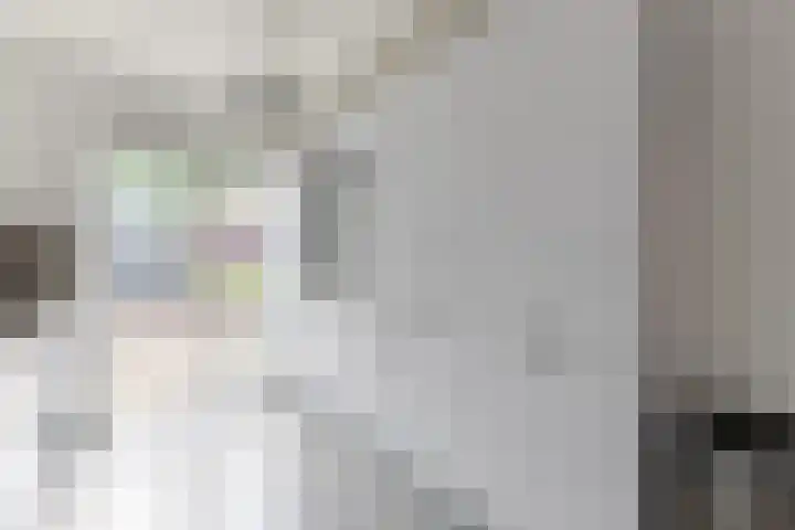 Landmeter 19 Assendelft thumbnail 9