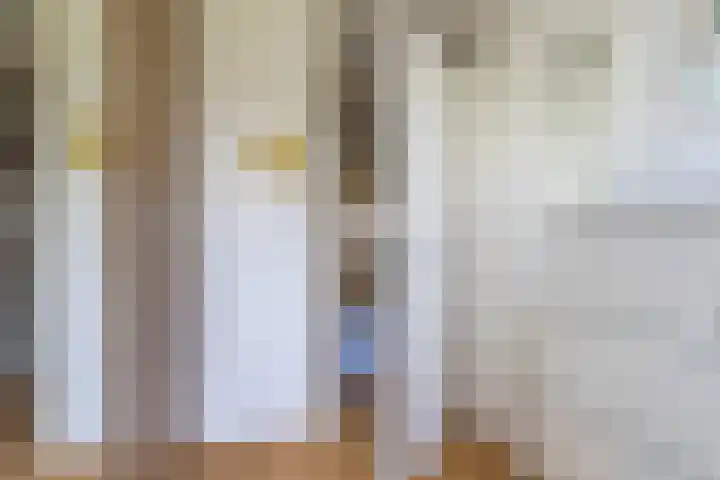 Landmeter 49 Assendelft thumbnail 19