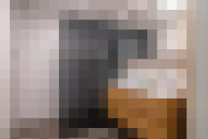 Landmeter 49 Assendelft thumbnail 23