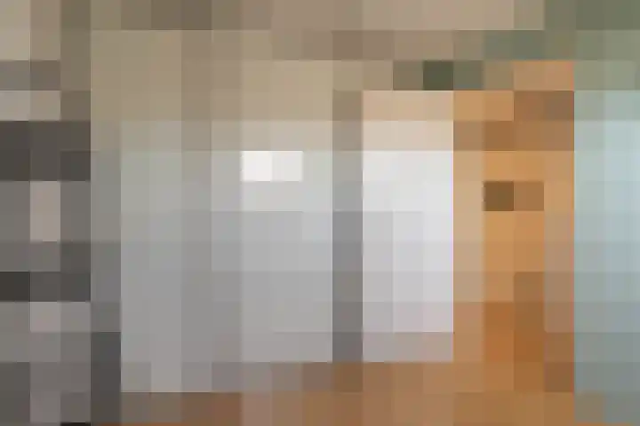 Landmeter 49 Assendelft thumbnail 28