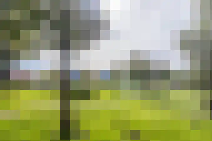Landmeter 49 Assendelft thumbnail 32