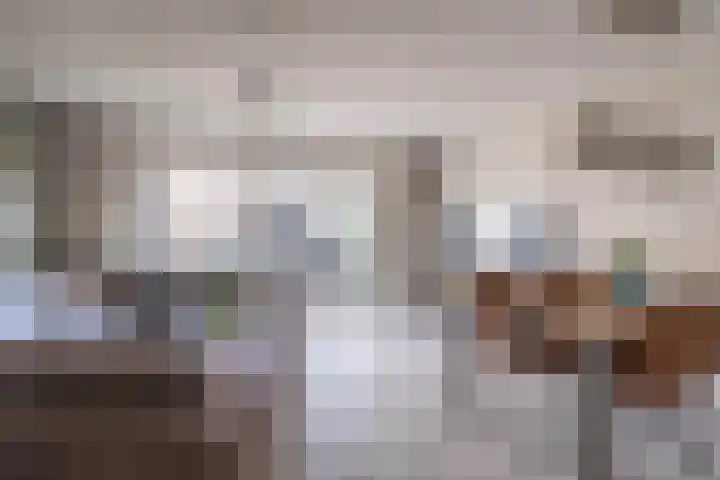 Landmeter 49 Assendelft thumbnail 5