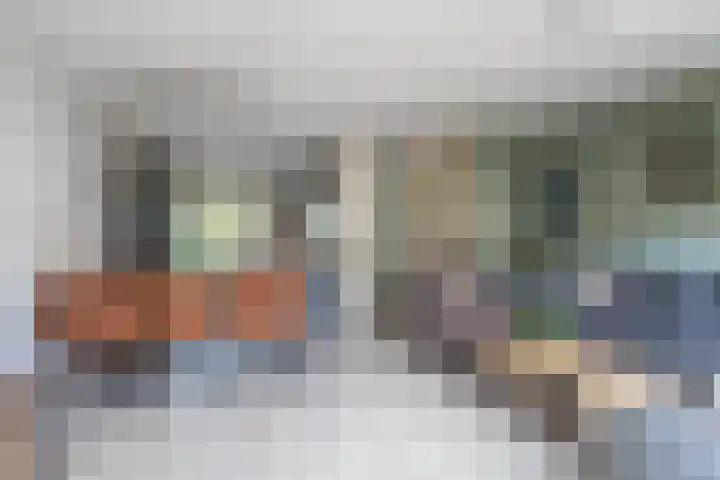 Landmeter 49 Assendelft thumbnail 6