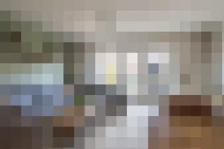 Landmeter 49 Assendelft thumbnail 8