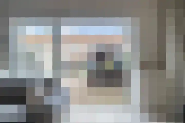 Landmeter 49 Assendelft thumbnail 9