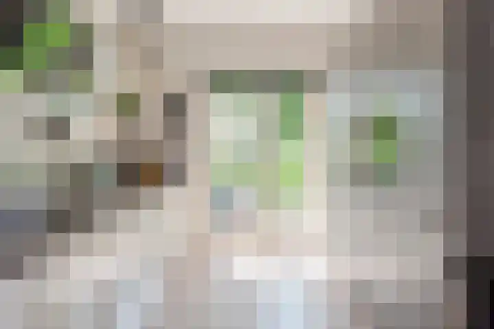 Landmeter 51 Assendelft thumbnail 14