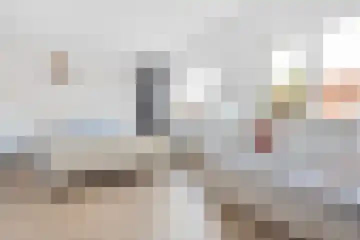 Landmeter 51 Assendelft thumbnail 20