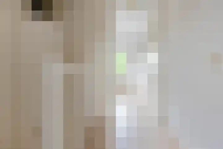Landmeter 51 Assendelft thumbnail 30