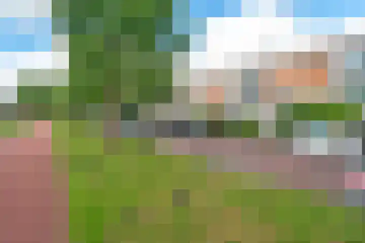 Landmeter 51 Assendelft thumbnail 36