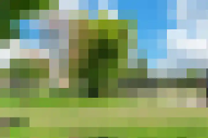 Landmeter 51 Assendelft thumbnail 37