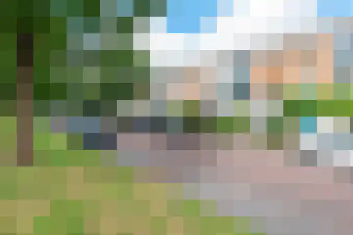 Landmeter 51 Assendelft thumbnail 38