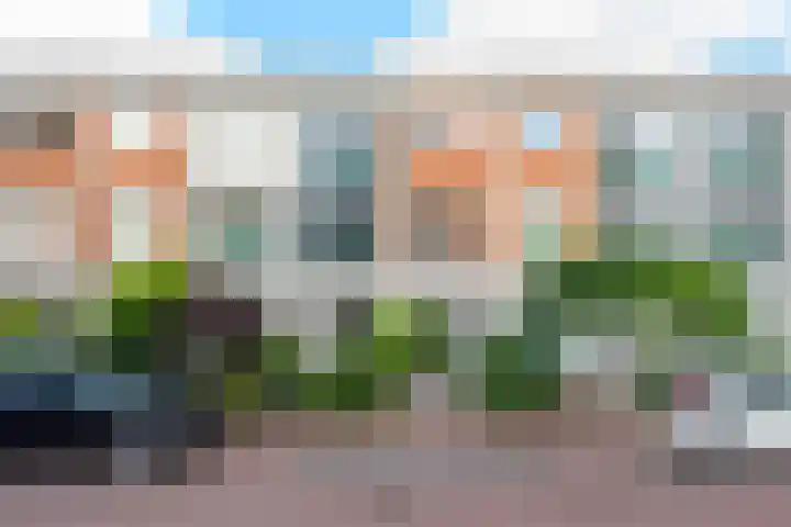 Landmeter 51 Assendelft thumbnail 5