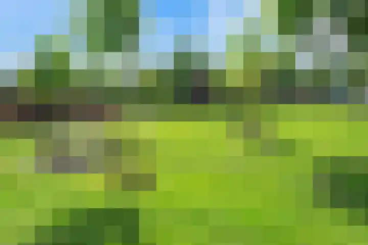 Landmeter 51 Assendelft thumbnail 6