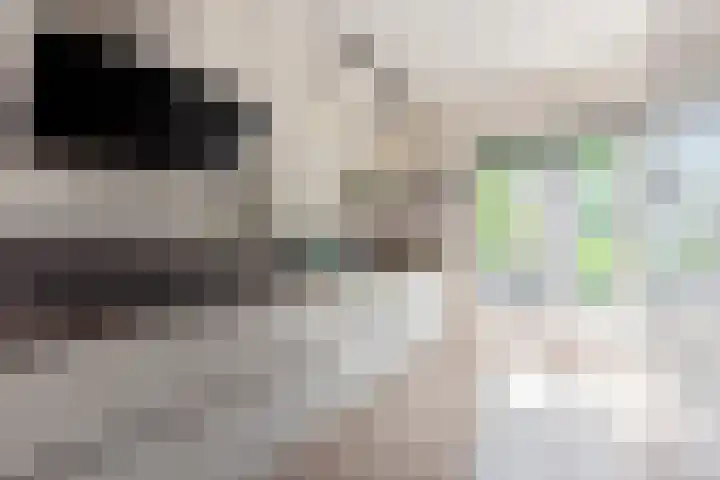 Landmeter 51 Assendelft thumbnail 7