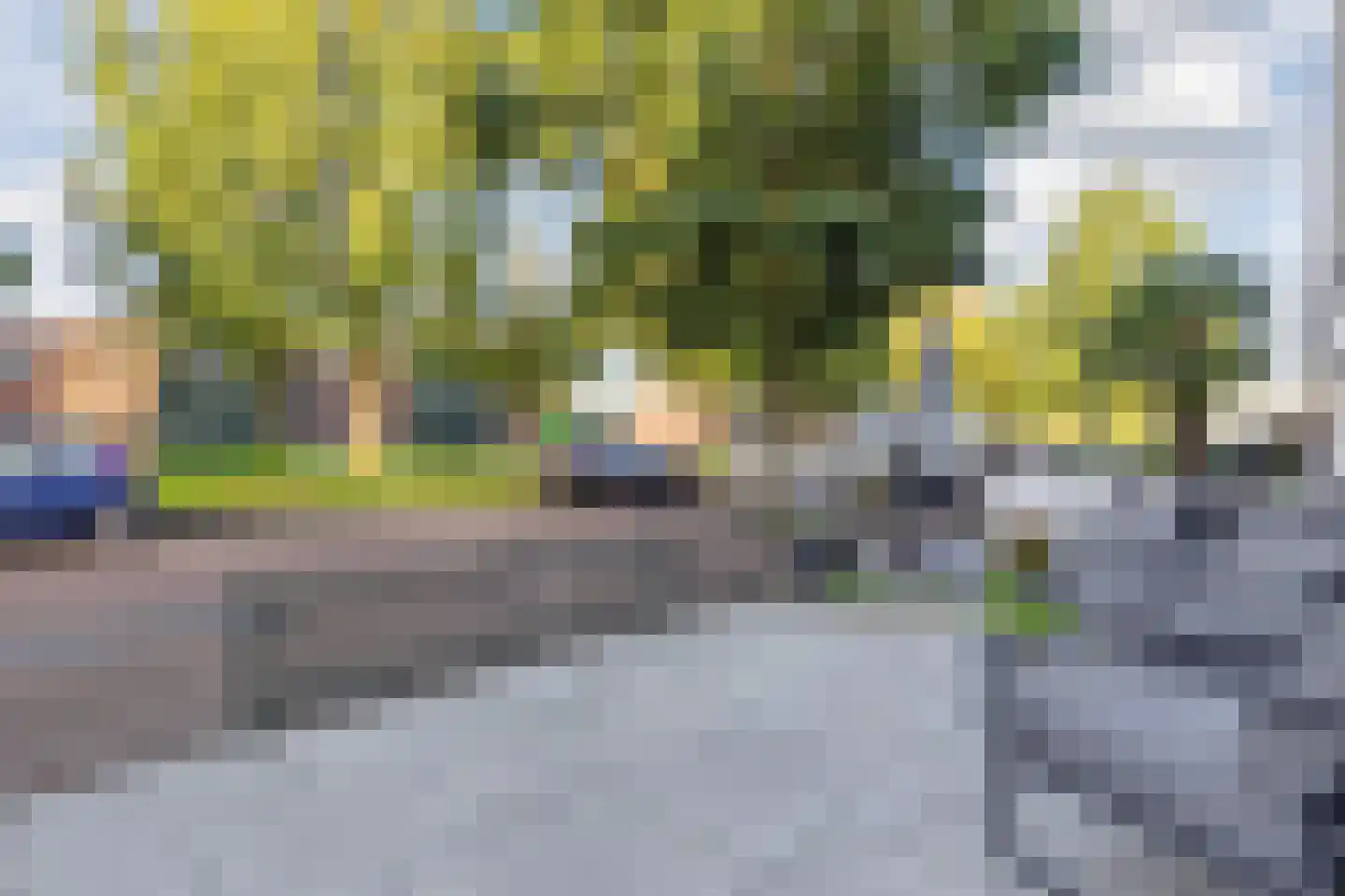 Landmeter 75 Assendelft thumbnail 7