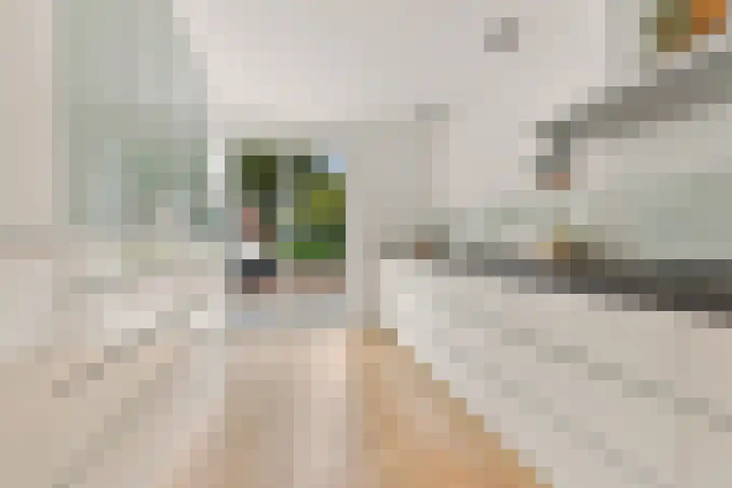 Landmeter 85 Assendelft thumbnail 10