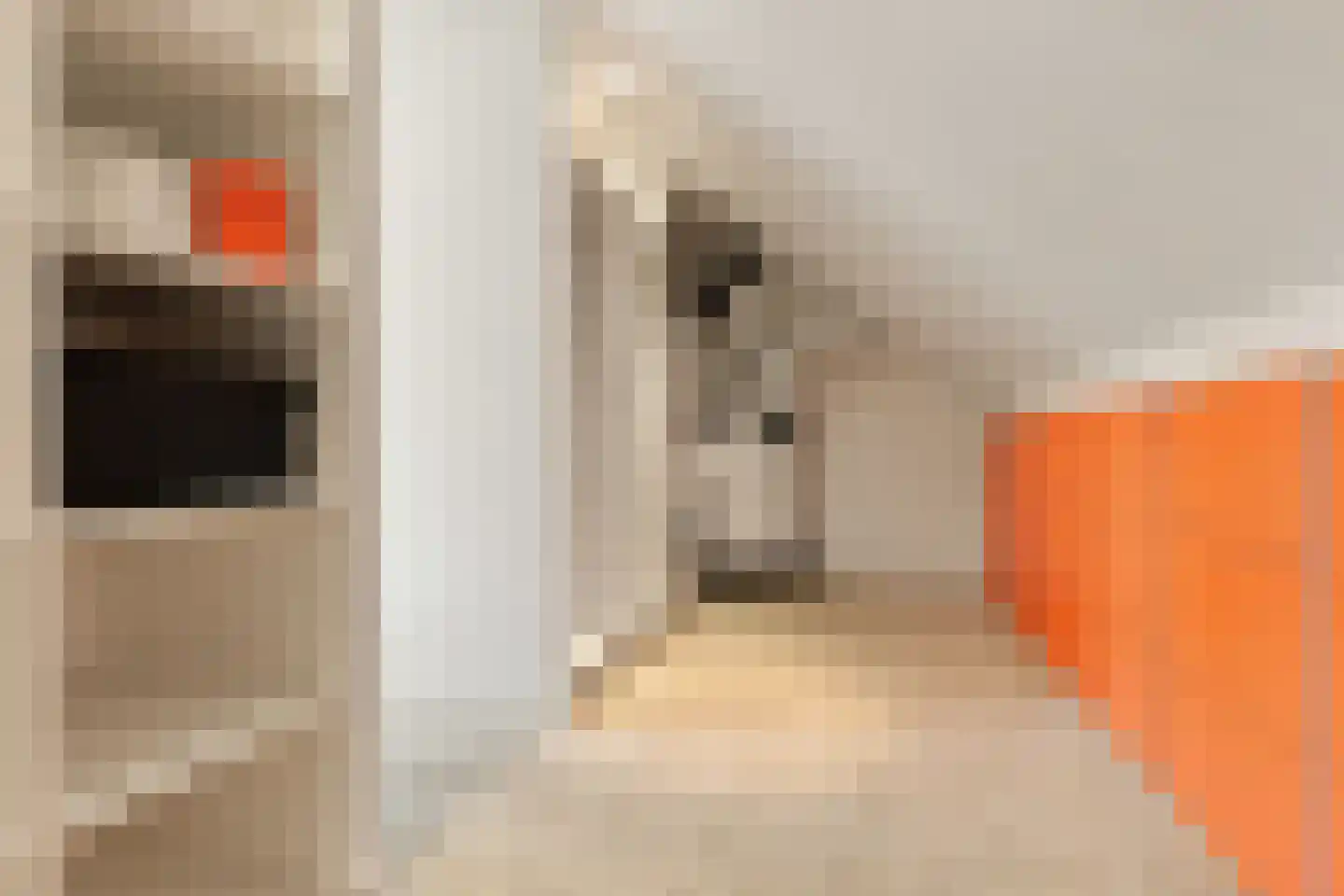 Landmeter 85 Assendelft thumbnail 28