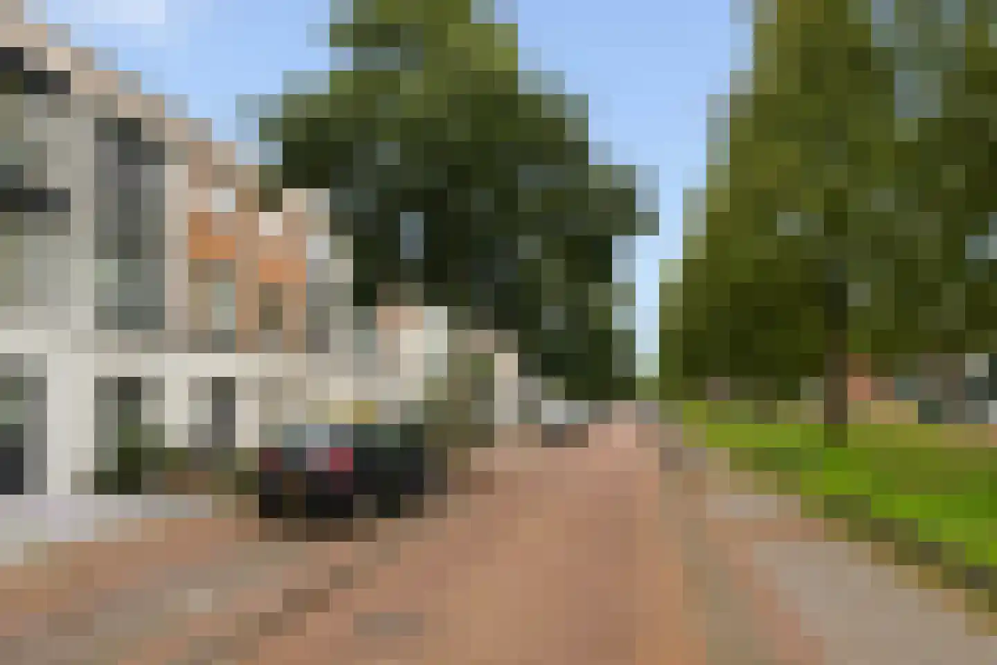 Landmeter 85 Assendelft thumbnail 31