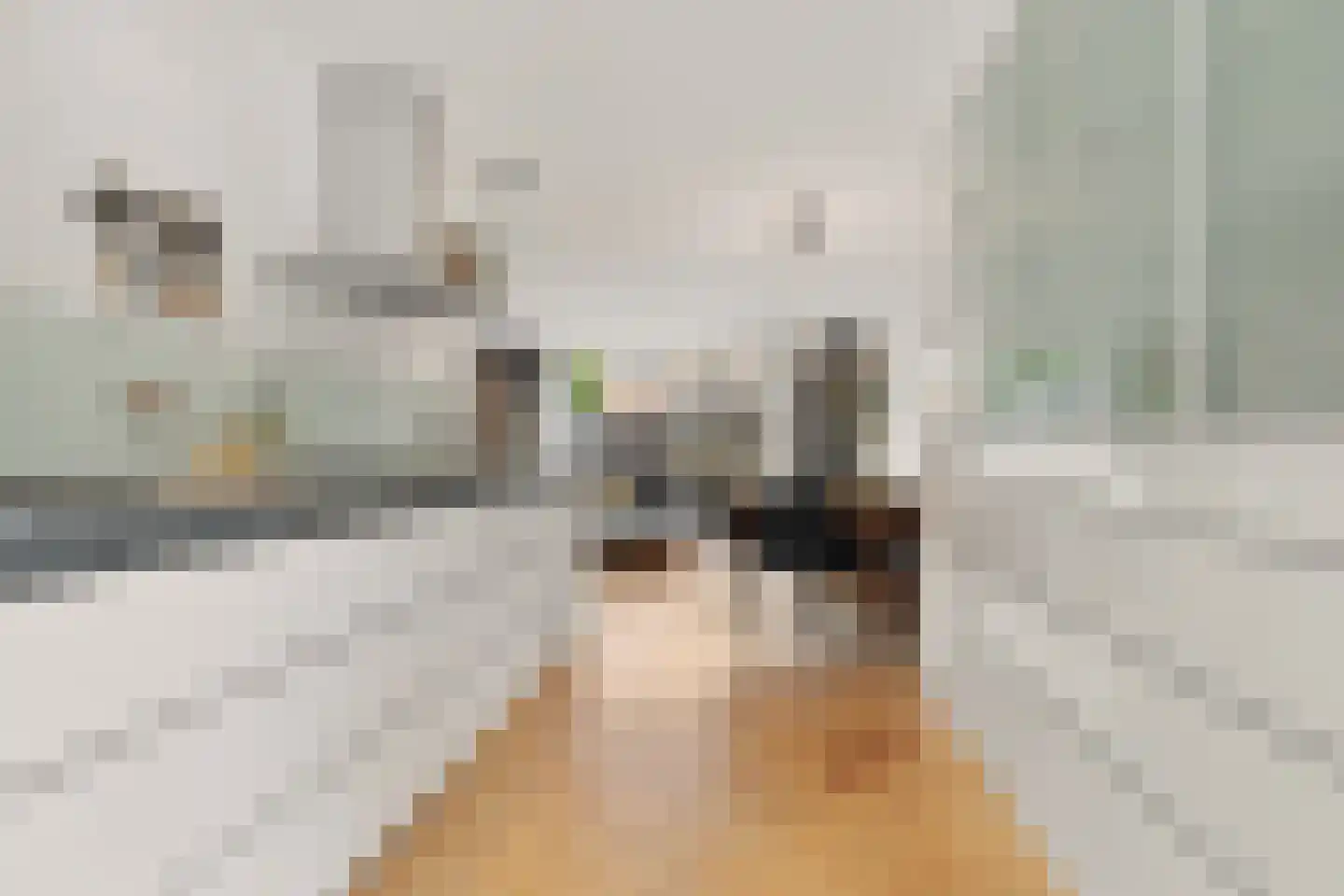 Landmeter 85 Assendelft thumbnail 8
