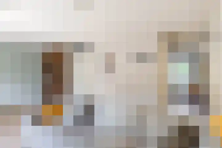 Landmeterslag 41 Gouda thumbnail 10