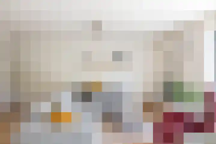 Landmeterslag 41 Gouda thumbnail 11