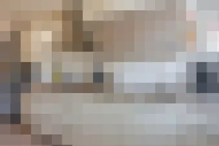 Landmeterslag 41 Gouda thumbnail 13