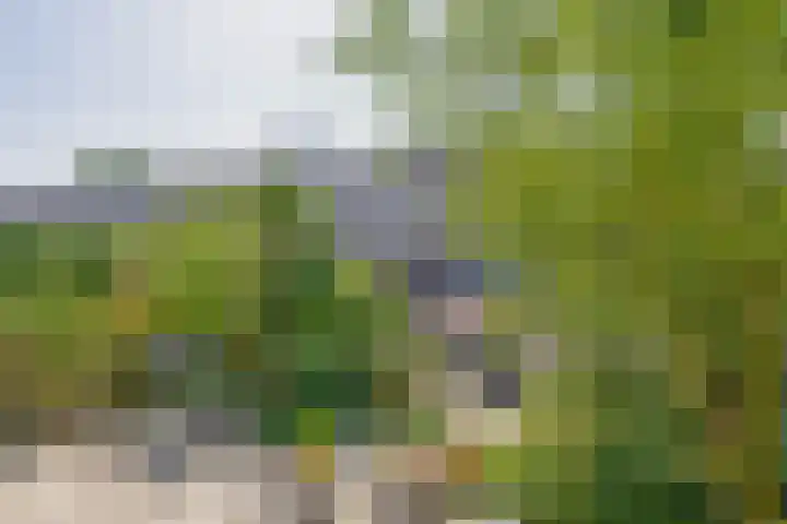 Landmeterslag 41 Gouda thumbnail 16