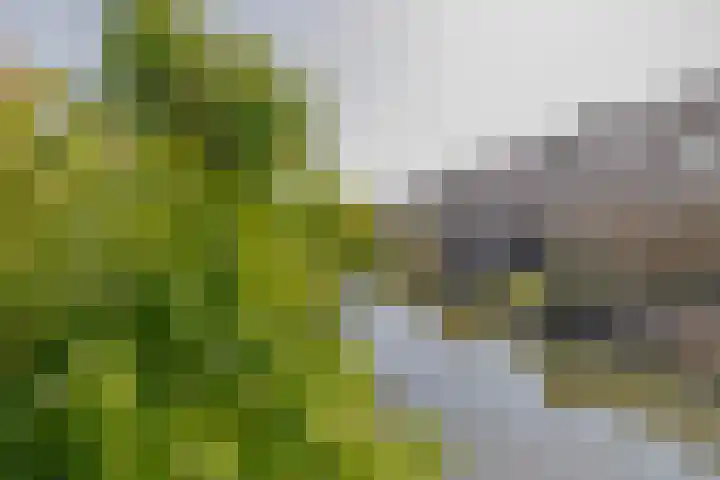 Landmeterslag 41 Gouda thumbnail 17