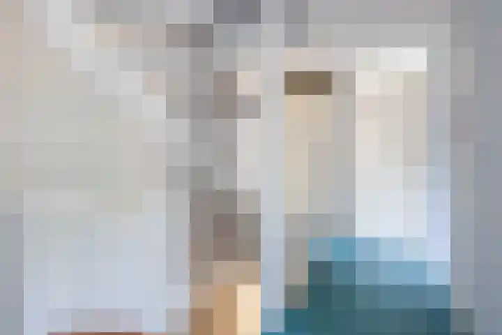 Landmeterslag 41 Gouda thumbnail 19
