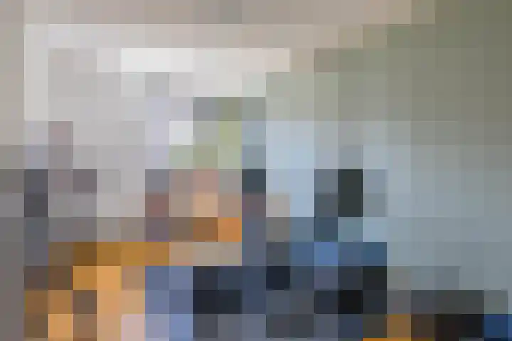 Landmeterslag 41 Gouda thumbnail 23