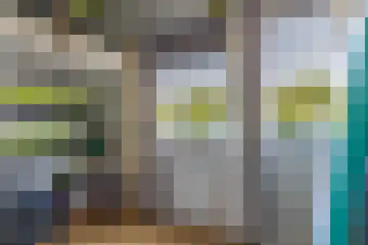 Landmeterslag 41 Gouda thumbnail 29