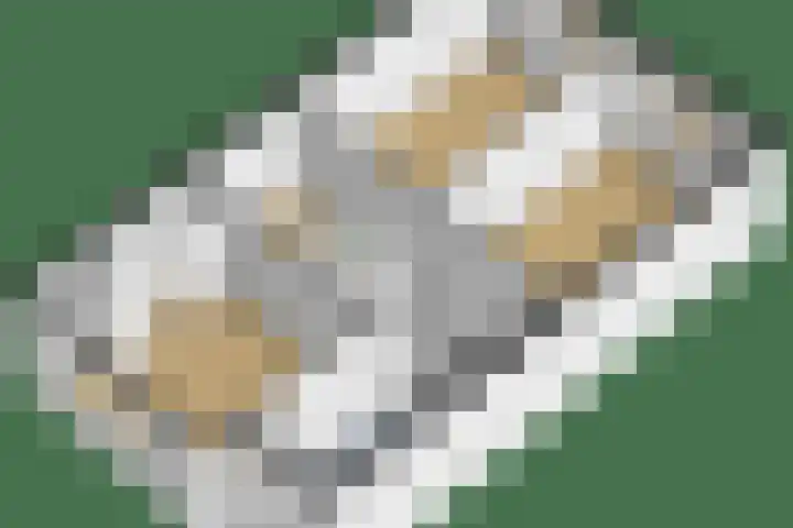Landmeterslag 41 Gouda thumbnail 36