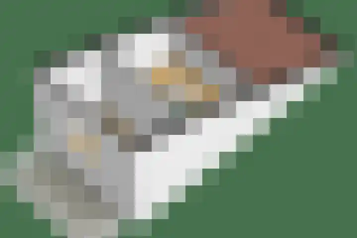 Landmeterslag 41 Gouda thumbnail 38