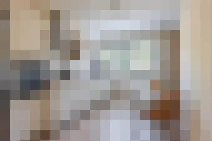 Landmeterslag 41 Gouda thumbnail 4