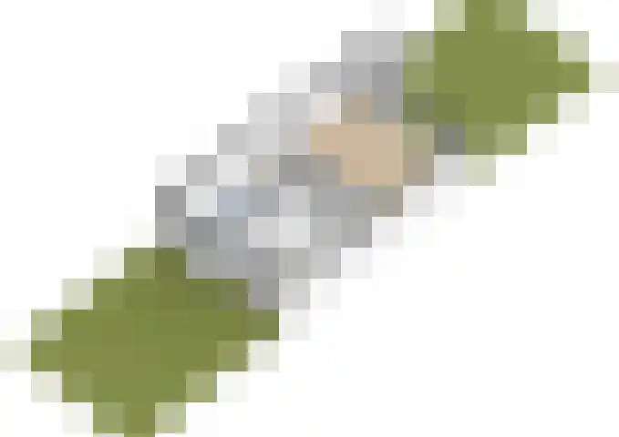 Landmeterslag 41 Gouda thumbnail 40
