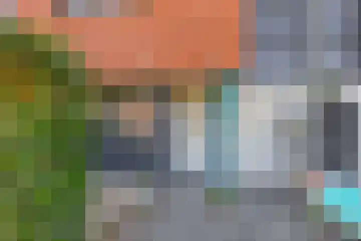 Landmeterslag 41 Gouda thumbnail 7