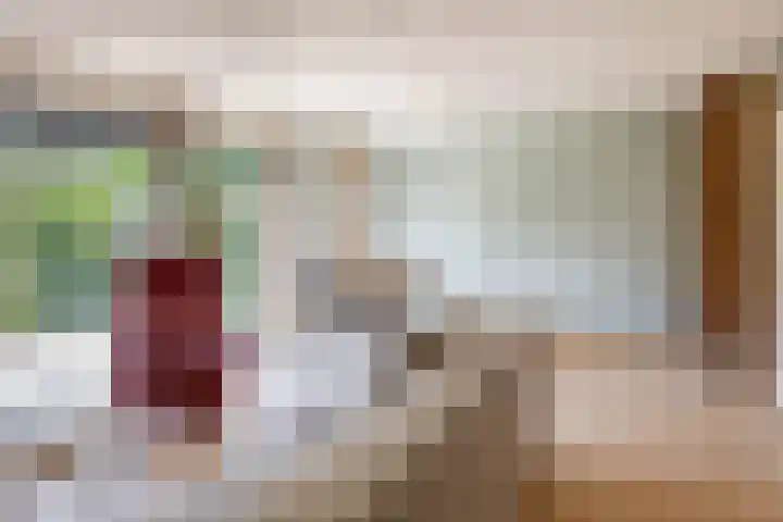 Landmeterslag 41 Gouda thumbnail 9