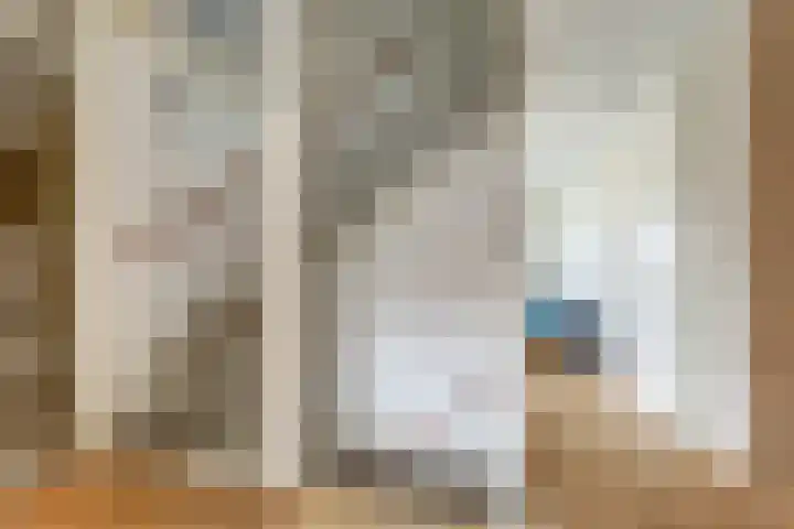 Landmeterslag 69 Gouda thumbnail 13